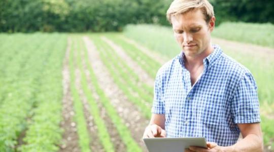 Milyen tényezők hátráltatták a gazdálkodókat leginkább az elmúlt gazdasági évben?