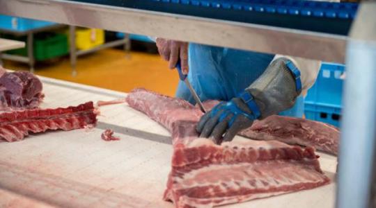 Németország új piacokat keres a rengeteg felesleggé vált sertéshúsnak