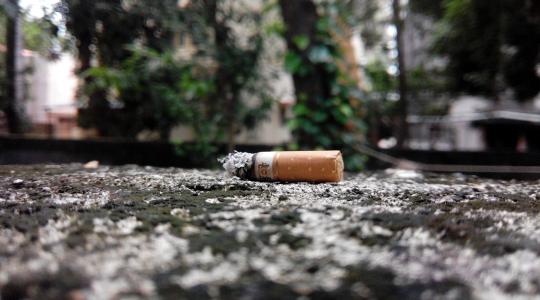 A talajba kerülő cigarettacsikkek gátolják a növények fejlődését