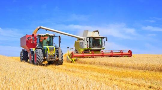 Ötéves csúcson a gabonaárak – mennyit éreznek ebből a termelők?