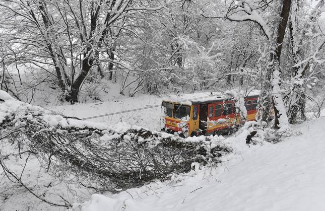 A hó súlyától félig kidőlt fa akadályozza a vasúti közlekedést