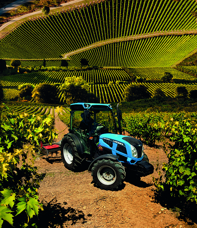 Landini REX 4 traktor szőlőültetvényben
