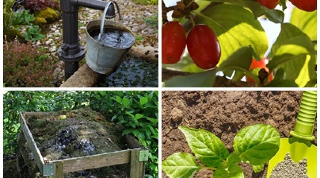 Tanácsok kerttervezéshez, zöldségtermesztéshez, a zöldhulladékok kezeléséhez