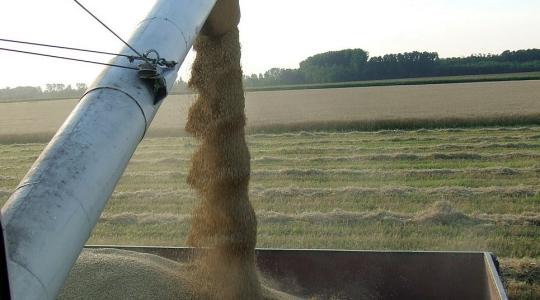 Az orosz gabonaexport lebonyolításában súlyos problémák vannak