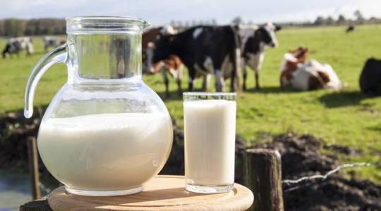 A koronavírus rendesen megzavarta az USA tejtermelését