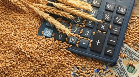 Nyomás alatt a gabonapiac – a bizonytalanság felfelé hajtja az árakat
