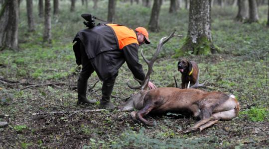 A koronavírus árnyékában egyre több engedéllyel rendelkező vadászból lesz orvvadász 