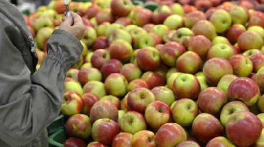 Aranyáron mérik a magyar almát – egy év alatt jelentősen megdrágult