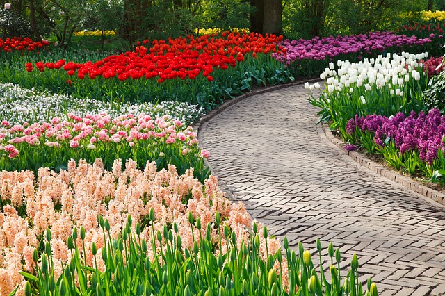 Tavaszi hagymás növények: tulipán, nárcisz, krókusz, jácint, császárkorona, kakasmandikó, csillagvirág, perzsa csillaghagyma, kockásliliom, hófény