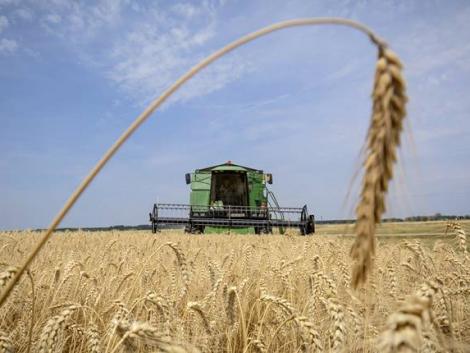 A globális felmelegedés miatt a terménytárolás költségei is nőni fognak A globális felmelegedés miatt a terménytárolás költségei is nőni fognak