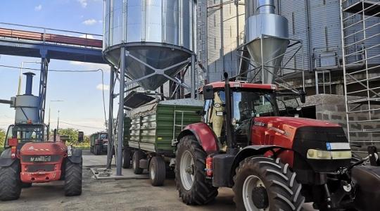 Családi összefogás: egy sikeres, magyar gabonafelvásárló vállalat