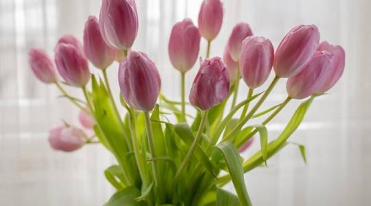 Anyák napja: egyre több virágüzlet értékesít online