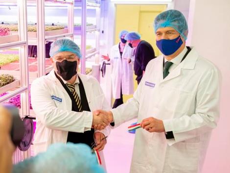 Félmilliárdból épült egyedülálló vertikális farm Újpesten Félmilliárdból épült egyedülálló vertikális farm Újpesten