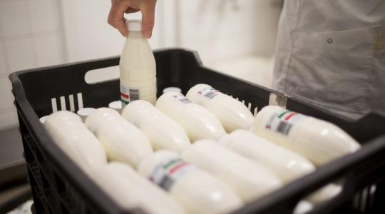 Több milliárdos állami támogatással fejlesztett a magyar tejipar legnagyobb vállalata
