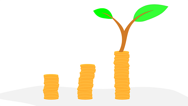 növény és pénz