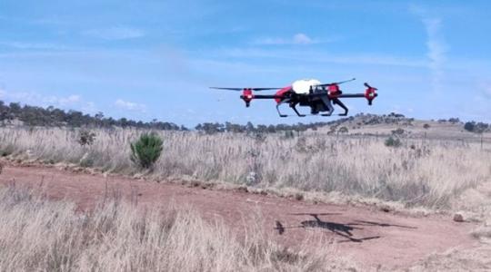 Drónokkal veszik fel a harcot a kiirthatatlan gyomnövények ellen