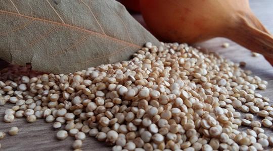 Gyatra földeken is sokat hozhat a quinoa termesztése