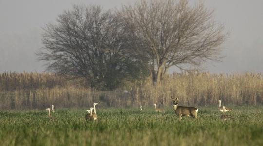 Programajánló: Irány a legközelebbi Nemzeti Park! Programajánló: Irány a legközelebbi Nemzeti Park!