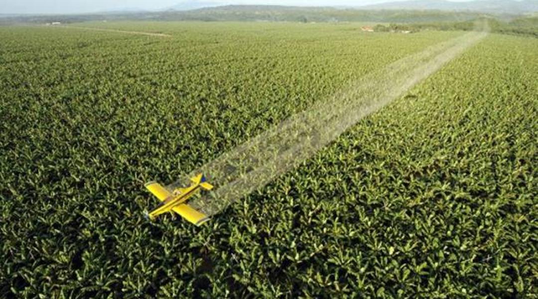 A drónok kiütik a repülőket a növényvédelemből?