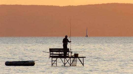 Kiderült: nem a horgászok okozzák a Balaton algásodását
