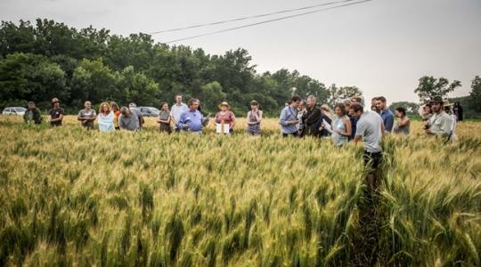 Biogazdálkodás: egyre jobban teljesít a magyar mezőgazdaság