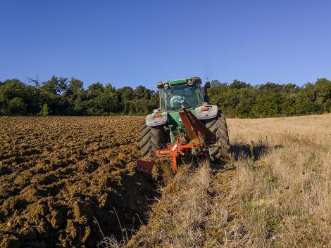 Online petíció indult a magyar agráriumért