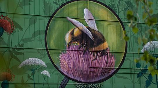 Így is lehet élni: Szeged egy részét visszaadták a méheknek
