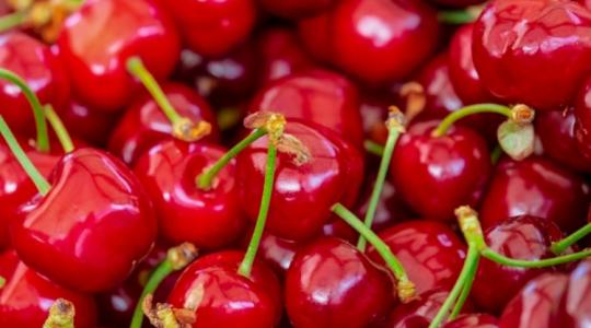 6 tipp a meggy és a cseresznye cefrézéséhez