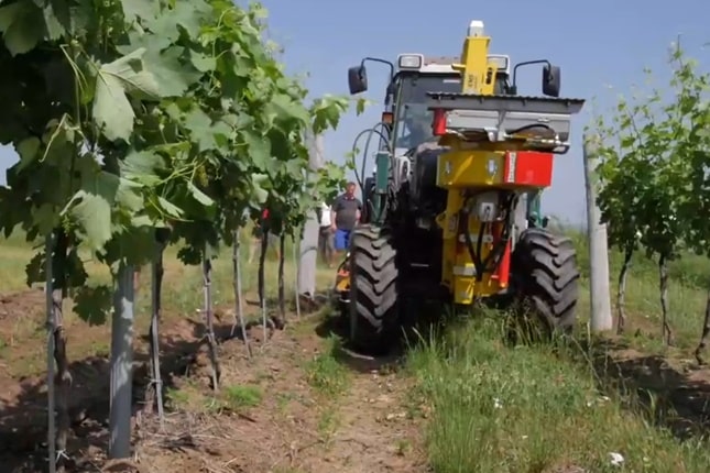 fendt traktor a szőlőben
