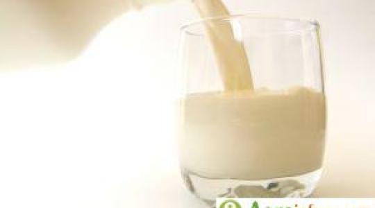 Felére csökkenhet a termelés a tejágazatban