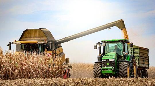 Mennyit hoz idén a kukorica? Terméseredmények és árak itthon és külföldön