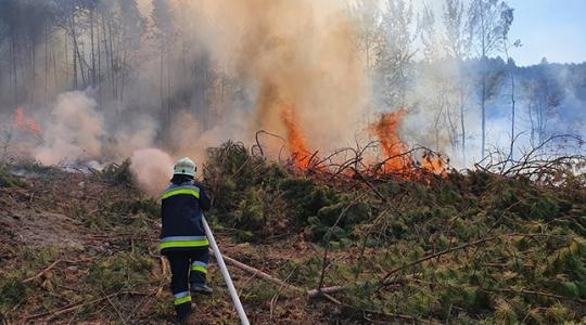Erdőtűz: Fenyves állt lángokban Szilvásváradnál