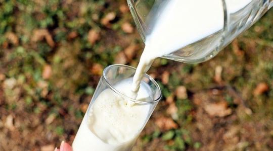Óriási veszteségeket szenvedett el a magyar tejágazat – mi lehet a kilábalás kulcsa?