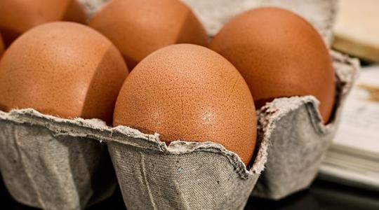 Ha valóban betiltják a ketreces tartást, az komolyan betesz a magyar tojástermelésnek