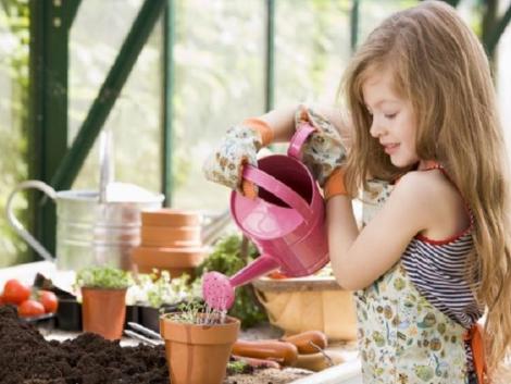 Tudod, milyen növény maradhat a gyerekszobában, és melyiket tilos ott tartani?