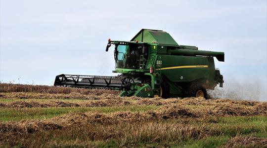 Rekordtermés gabonafélékből! Az ország történetének legnagyobb termését takarítja be Ukrajna