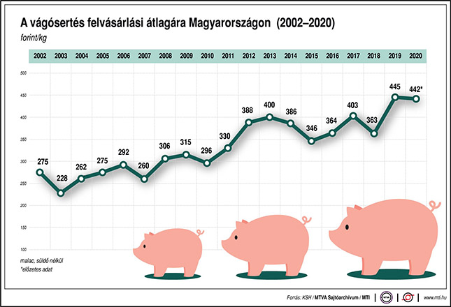 A vágósertés felvásárlási átlagára Magyarországon