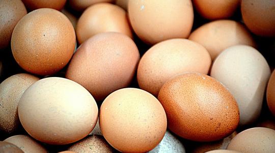 Elítélték a tojásmérgezést okozó botrány előidézőjét