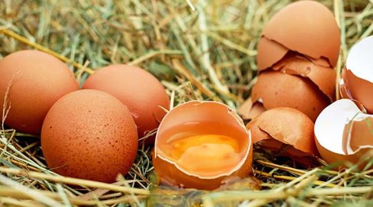 Minden tojáson 5 forintot buknak a tojástermelők