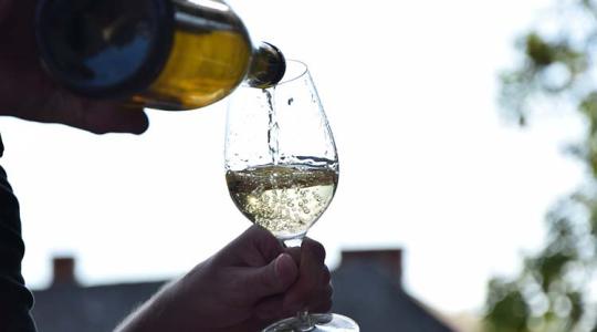 Szőlőből bor – ezek a legfontosabb lépések
