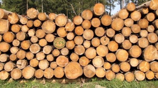 Jönnek az ellenőrzések – a faanyagok piacára csap le a hatóság