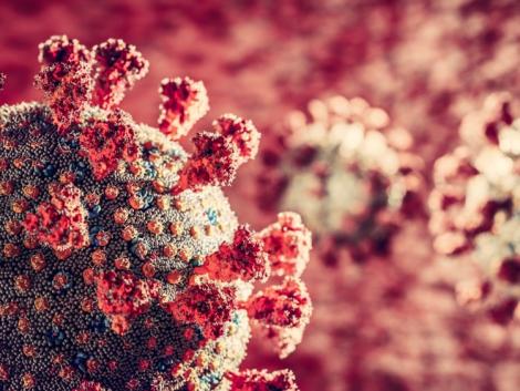 A Covid-járványt már az influenza sem bírja – Valószínűleg kihalt az egyik vírustörzs