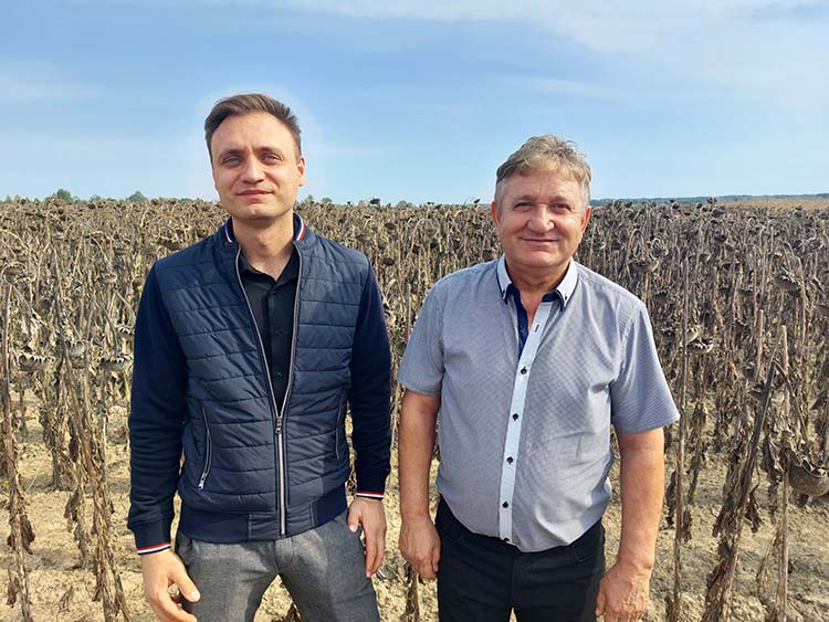 György Dániel és Gergő, napraforgó-termesztők