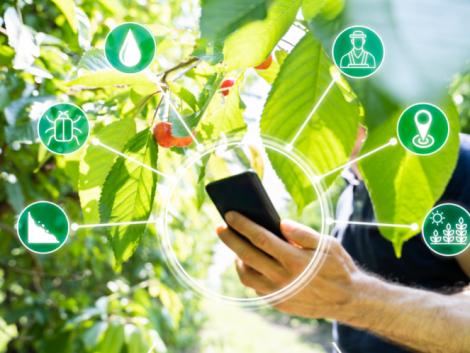 Konferencia a jövő agráriumáról a NAK szervezésében Konferencia a jövő agráriumáról a NAK szervezésében