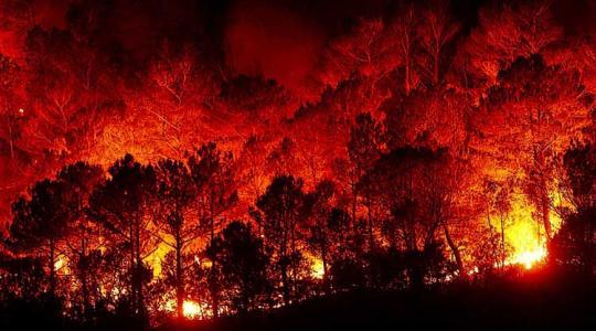 Döbbenet: az európai tüzek 90 százalékát emberi tevékenység okozta