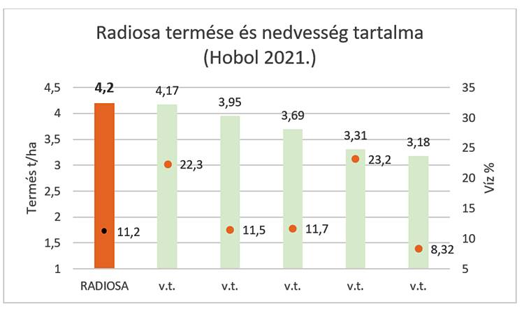 Radiosa termése és nedvességtartalma