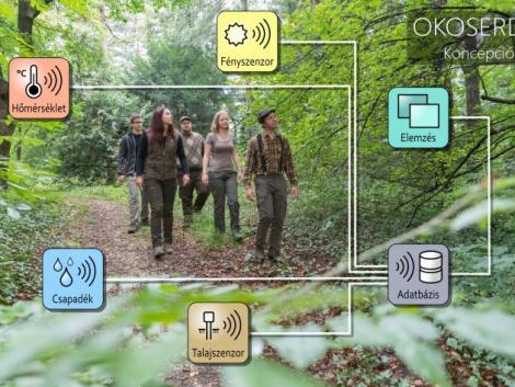 Te tudod mi az az okoserdő?