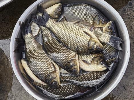 Drága lesz a karácsonyi menü