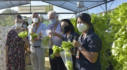 A magyar nemesítésű zöldségfajták még a Fülöp-szigeteken is hódítanak