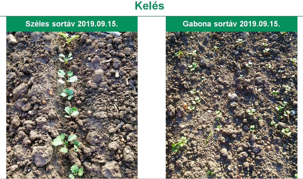 repce kelése